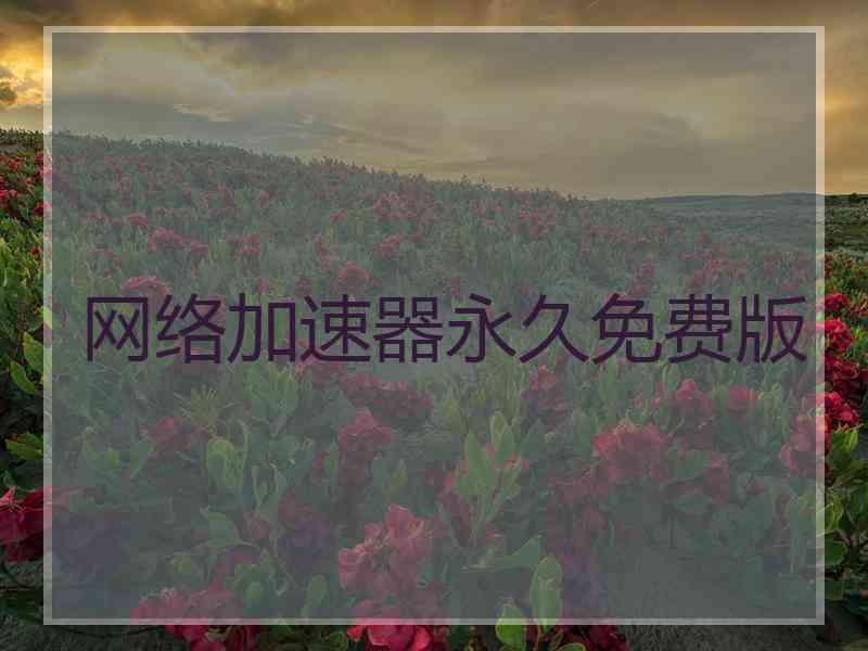 网络加速器永久免费版