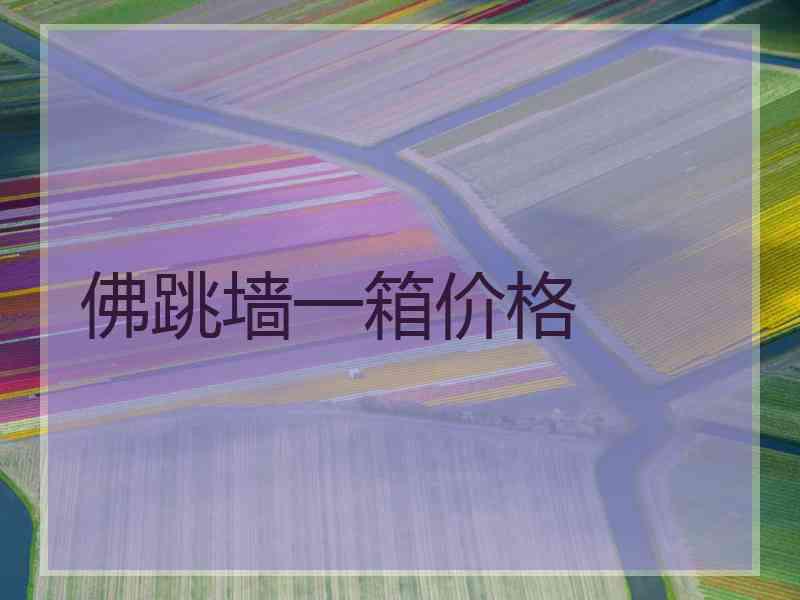 佛跳墙一箱价格