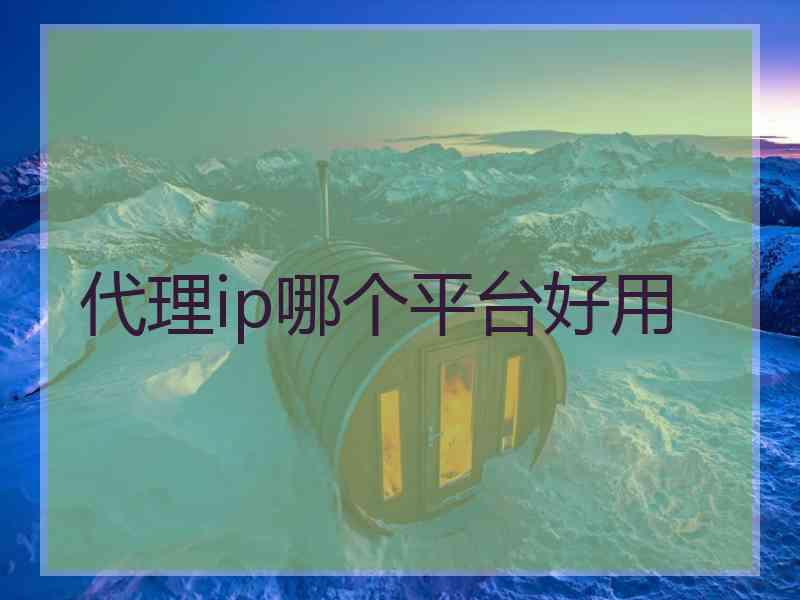 代理ip哪个平台好用