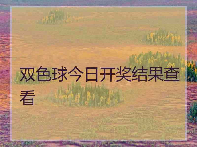 双色球今日开奖结果查看