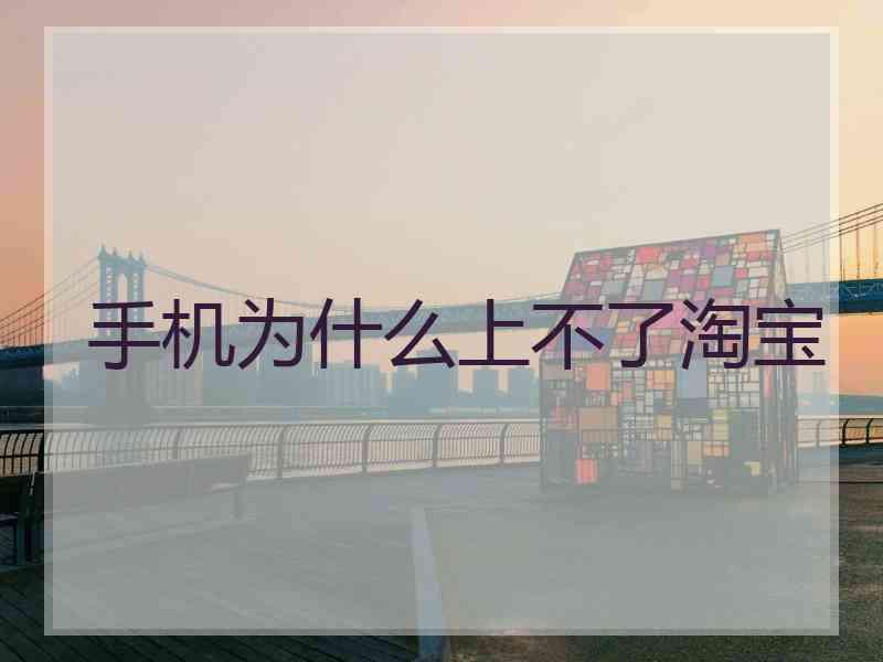 手机为什么上不了淘宝