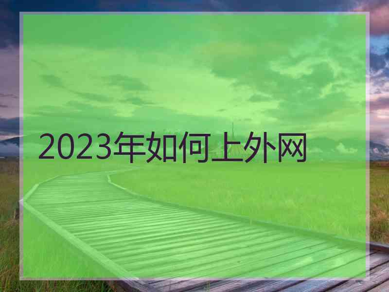 2023年如何上外网