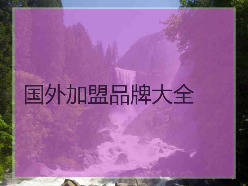 国外加盟品牌大全