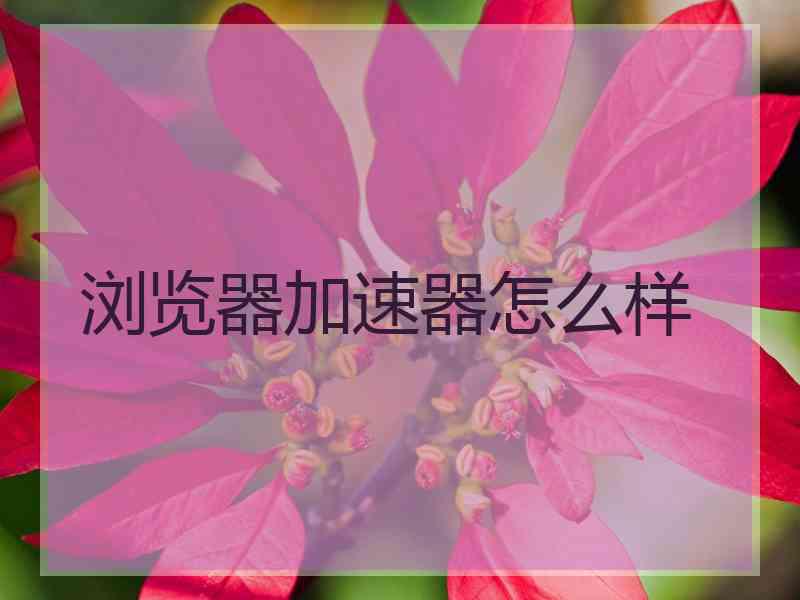 浏览器加速器怎么样