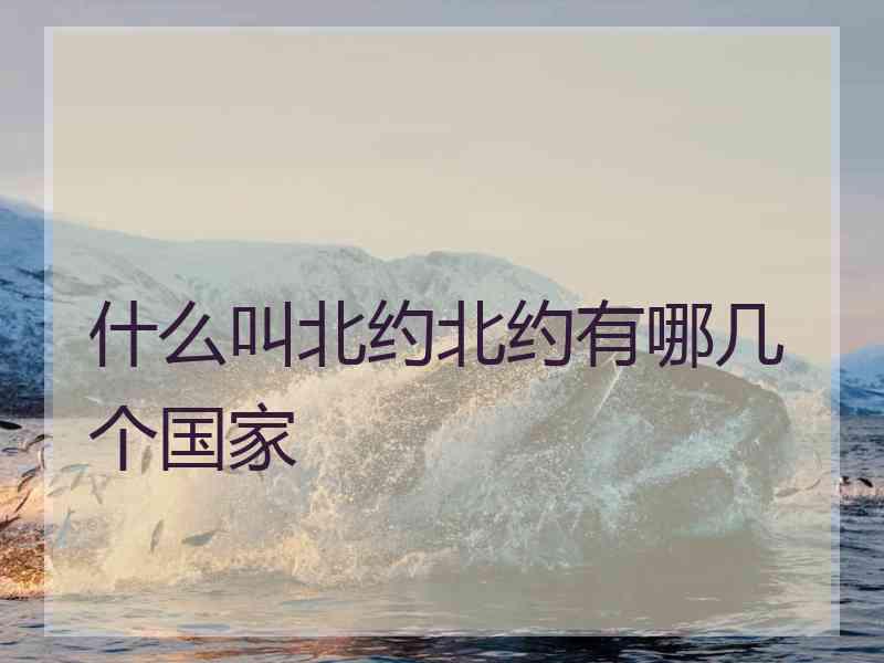什么叫北约北约有哪几个国家