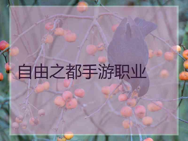 自由之都手游职业