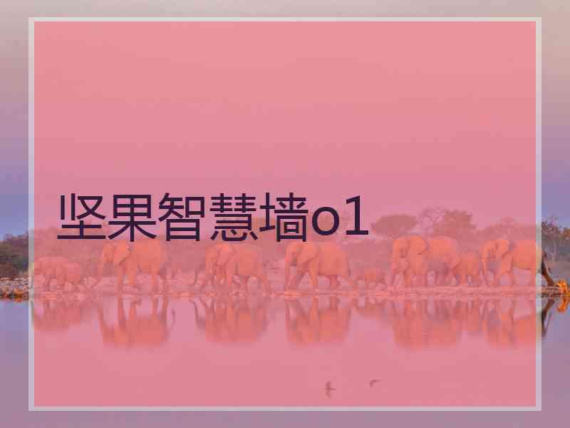 坚果智慧墙o1