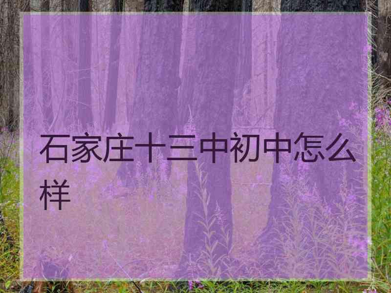石家庄十三中初中怎么样