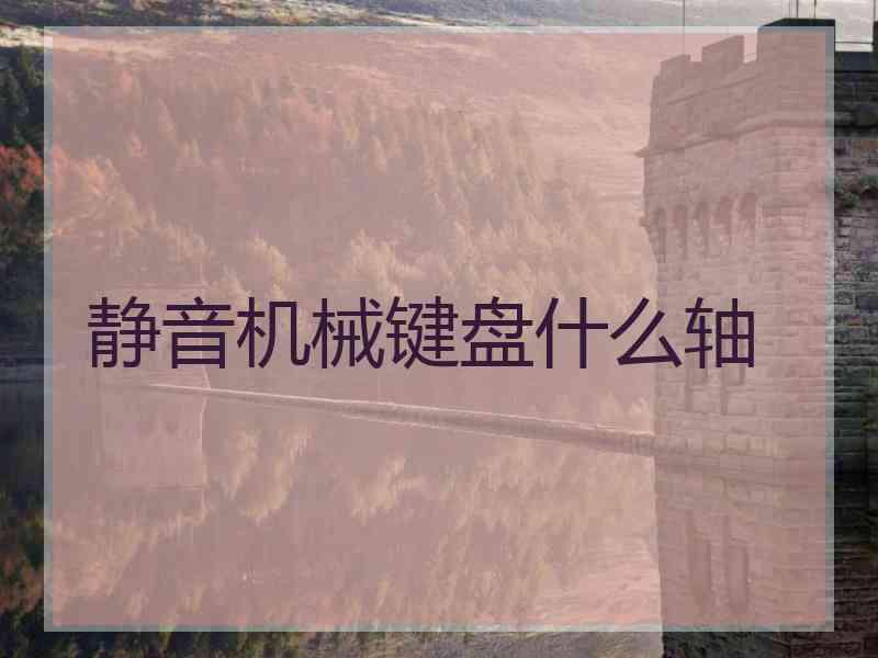 静音机械键盘什么轴