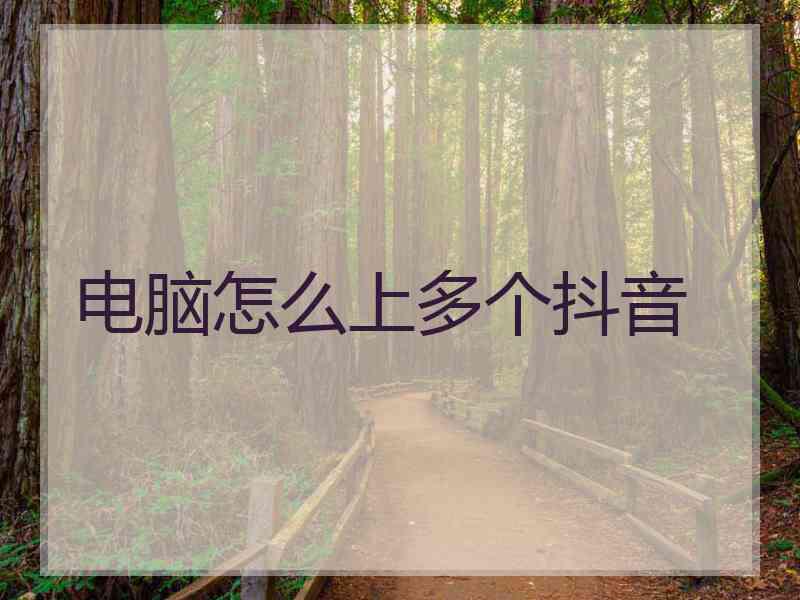 电脑怎么上多个抖音