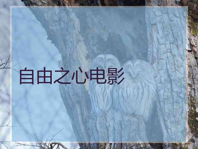 自由之心电影