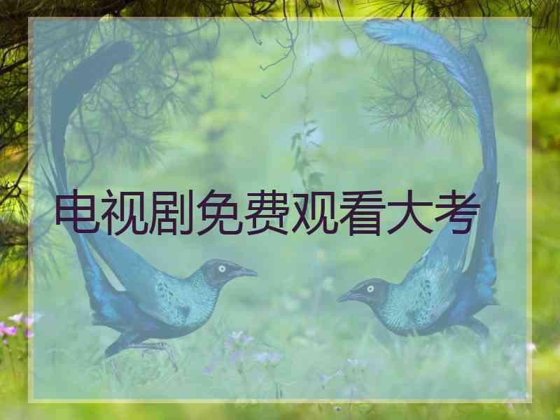 电视剧免费观看大考