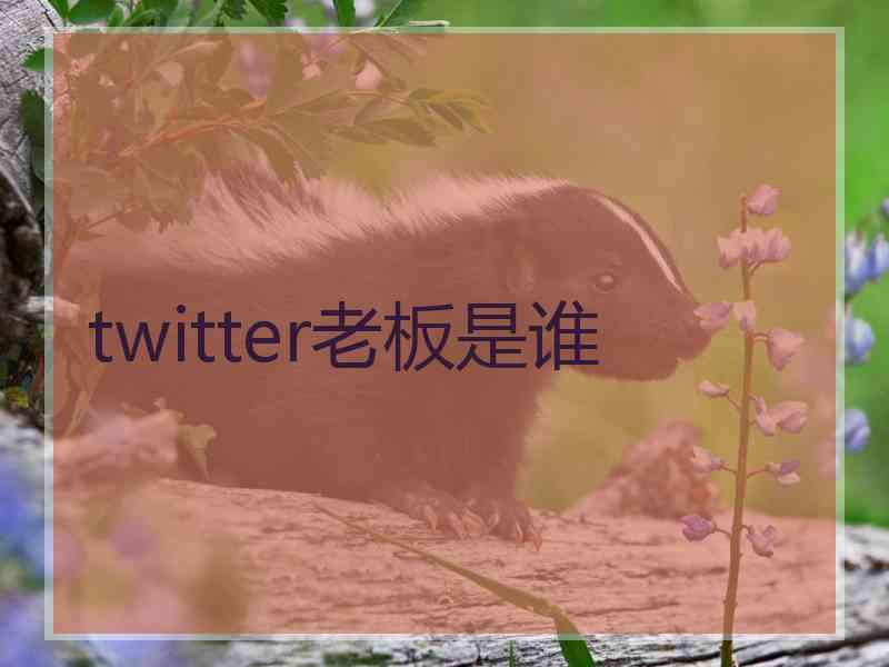 twitter老板是谁