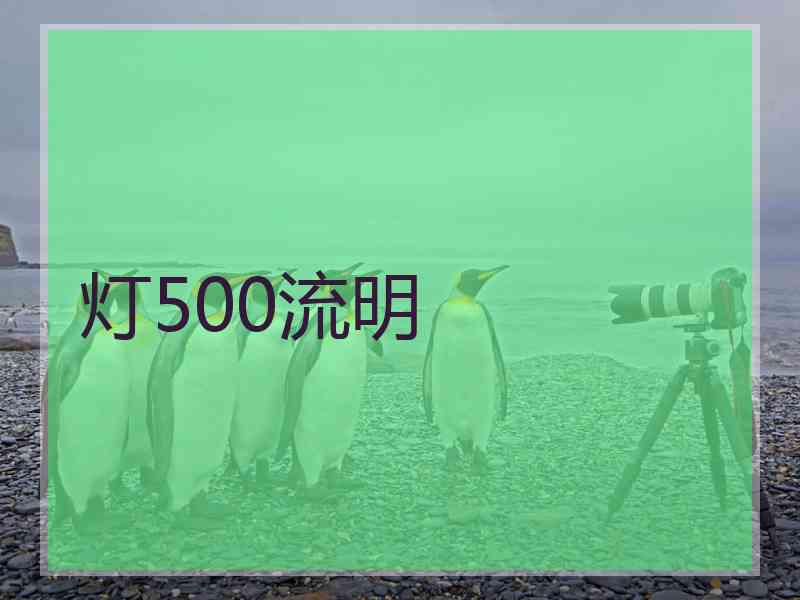 灯500流明