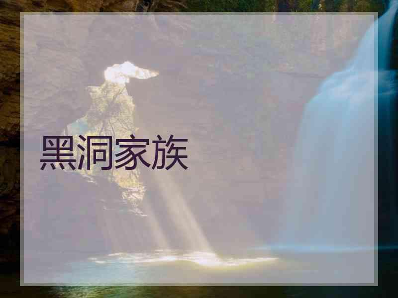 黑洞家族