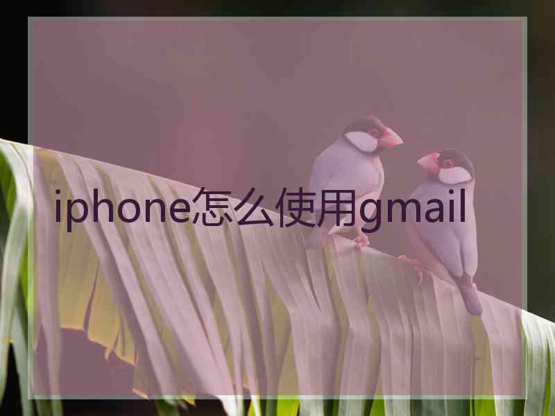 iphone怎么使用gmail