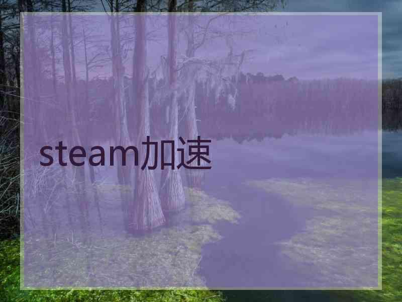 steam加速