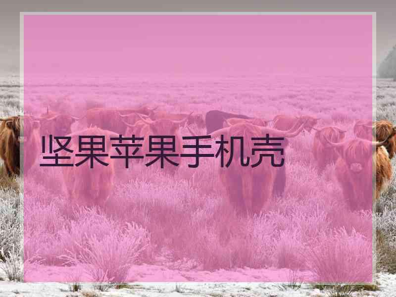 坚果苹果手机壳