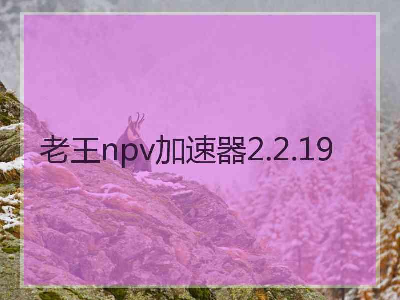 老王npv加速器2.2.19