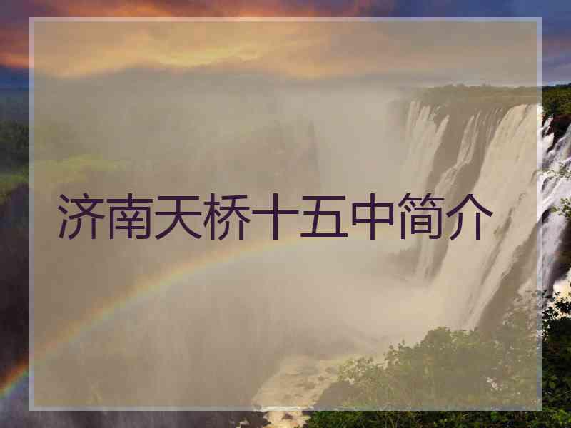 济南天桥十五中简介