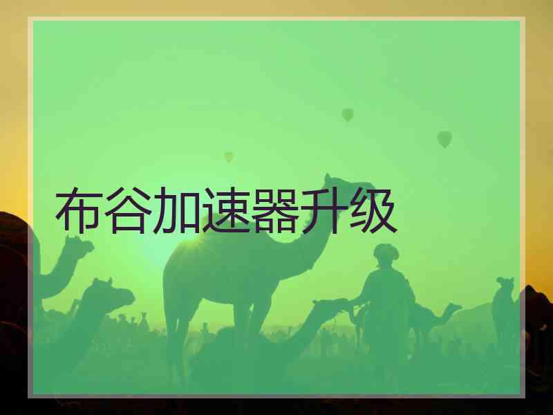 布谷加速器升级