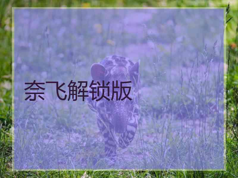 奈飞解锁版