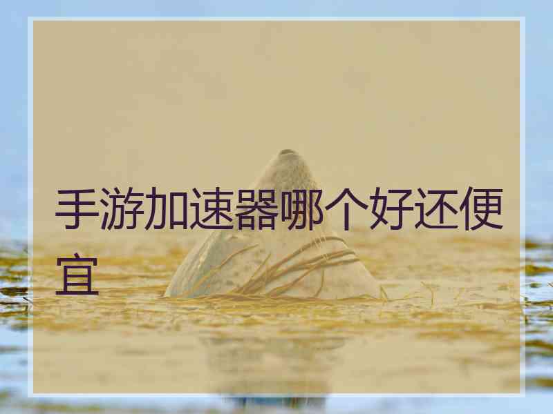 手游加速器哪个好还便宜