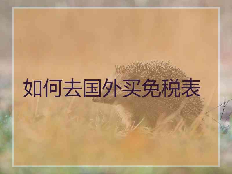 如何去国外买免税表
