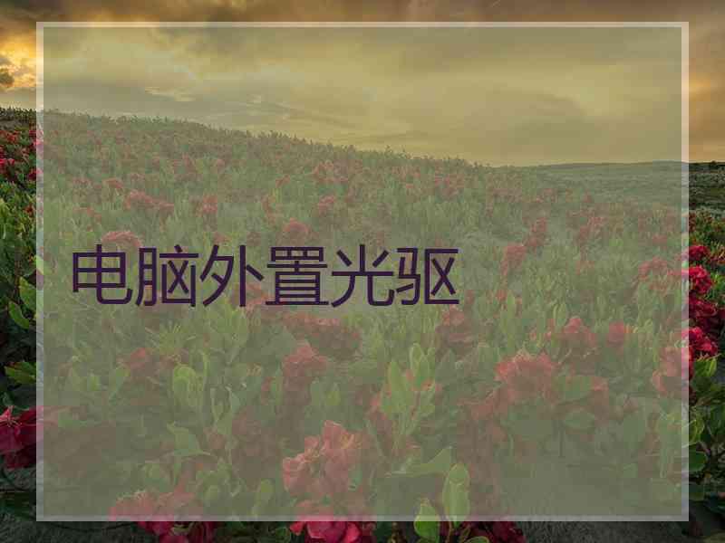 电脑外置光驱