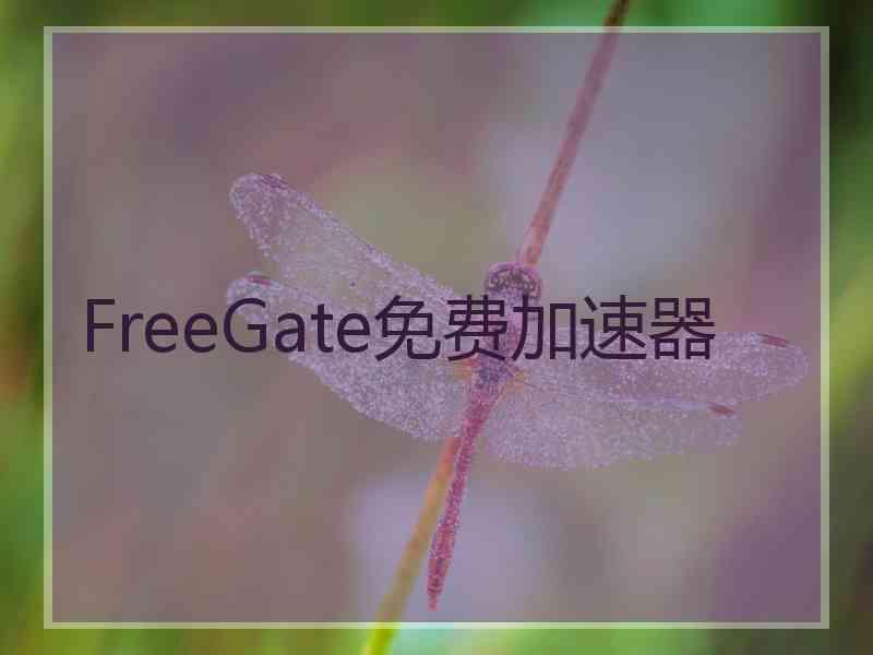 FreeGate免费加速器