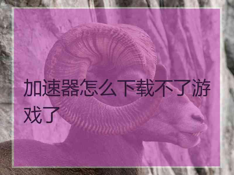 加速器怎么下载不了游戏了