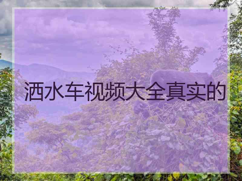 洒水车视频大全真实的
