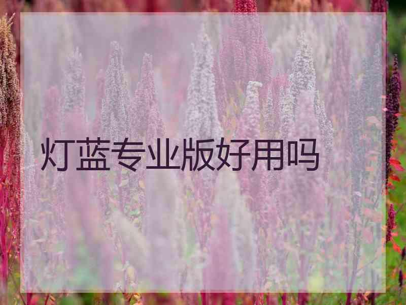 灯蓝专业版好用吗