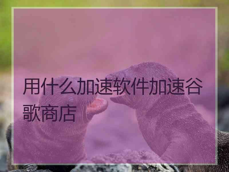 用什么加速软件加速谷歌商店