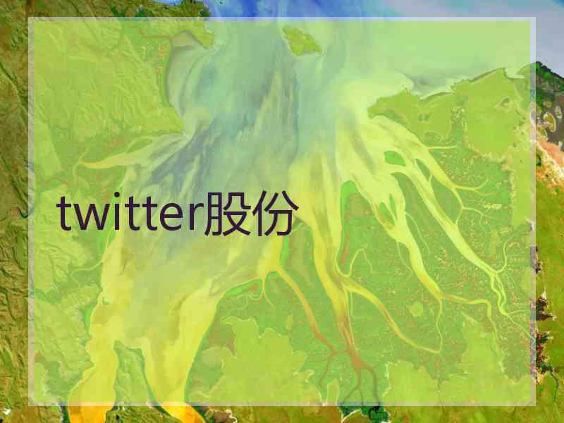 twitter股份