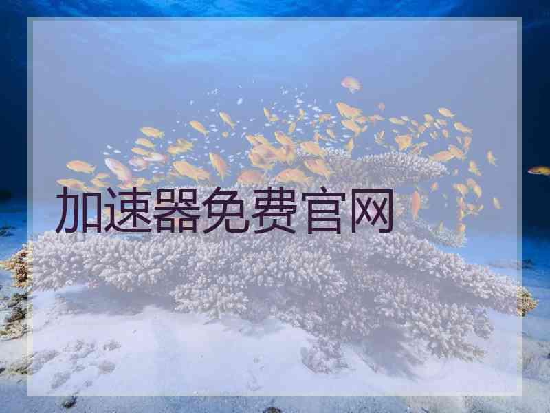加速器免费官网