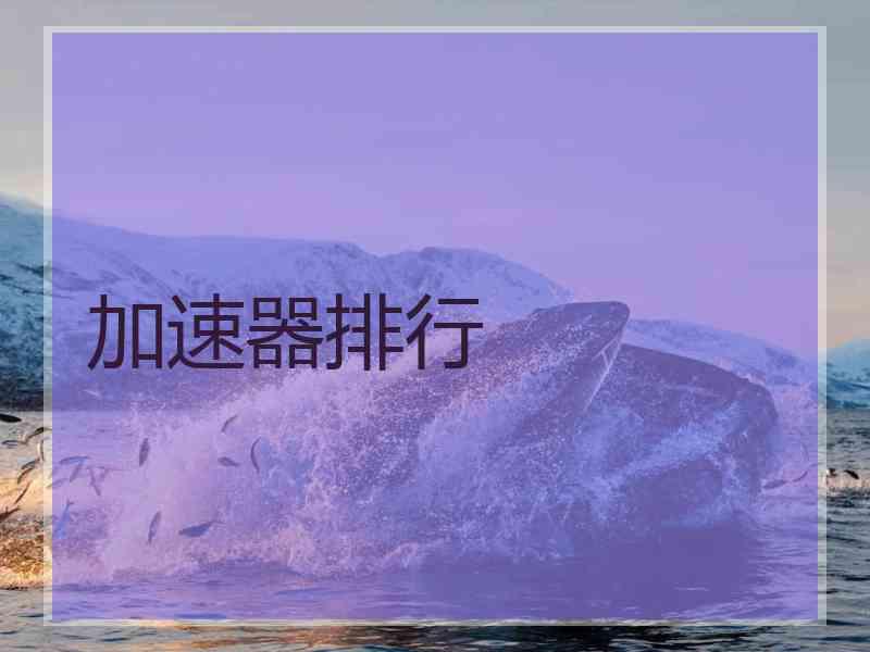 加速器排行